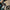 12-Onyx-RCR_Onyx_34