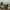 CopyofCopyofONYX_GRAPHICFURY_COLORED_STILL_7945a139-a8ad-42ec-8a00-7eadea0e12eb
