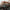 Group_Ride_Sunset_Malibu_March_13th00020_e83d6144-896c-4b03-9a1f-f435f419c28b