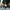 Group_Ride_Turnbull_Canyon_June_27th_202100070