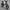 Standard Height No Dual