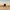 Onyx_80v_clip_2sec